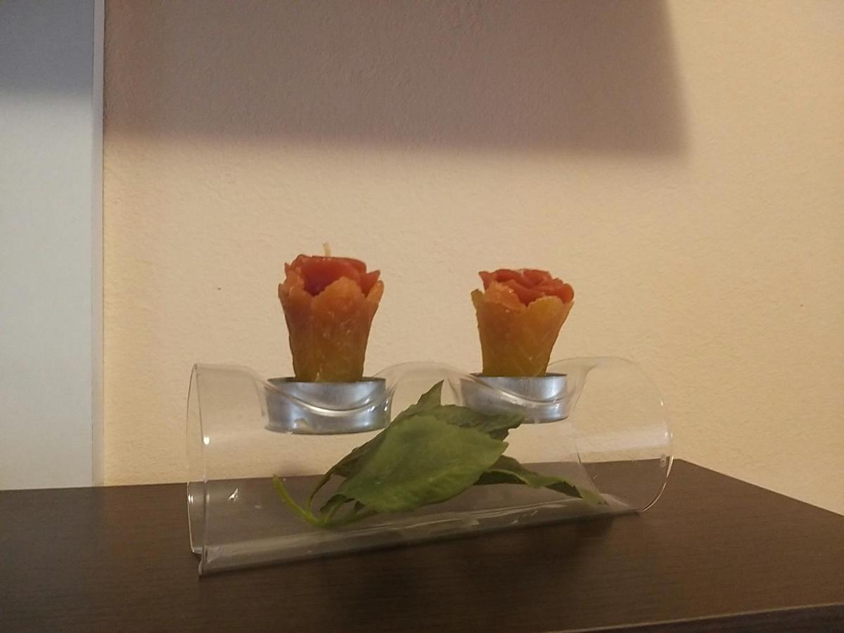 Sunny Apartment Jukic With Sea View Zadar Bagian luar foto